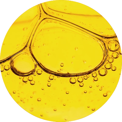Australian Macadamia Oil