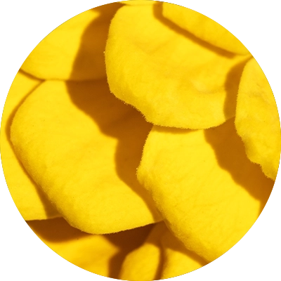 Chaparral Extract