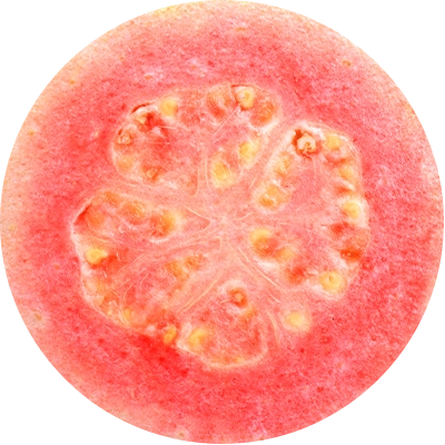 Guava Fruit Extract
