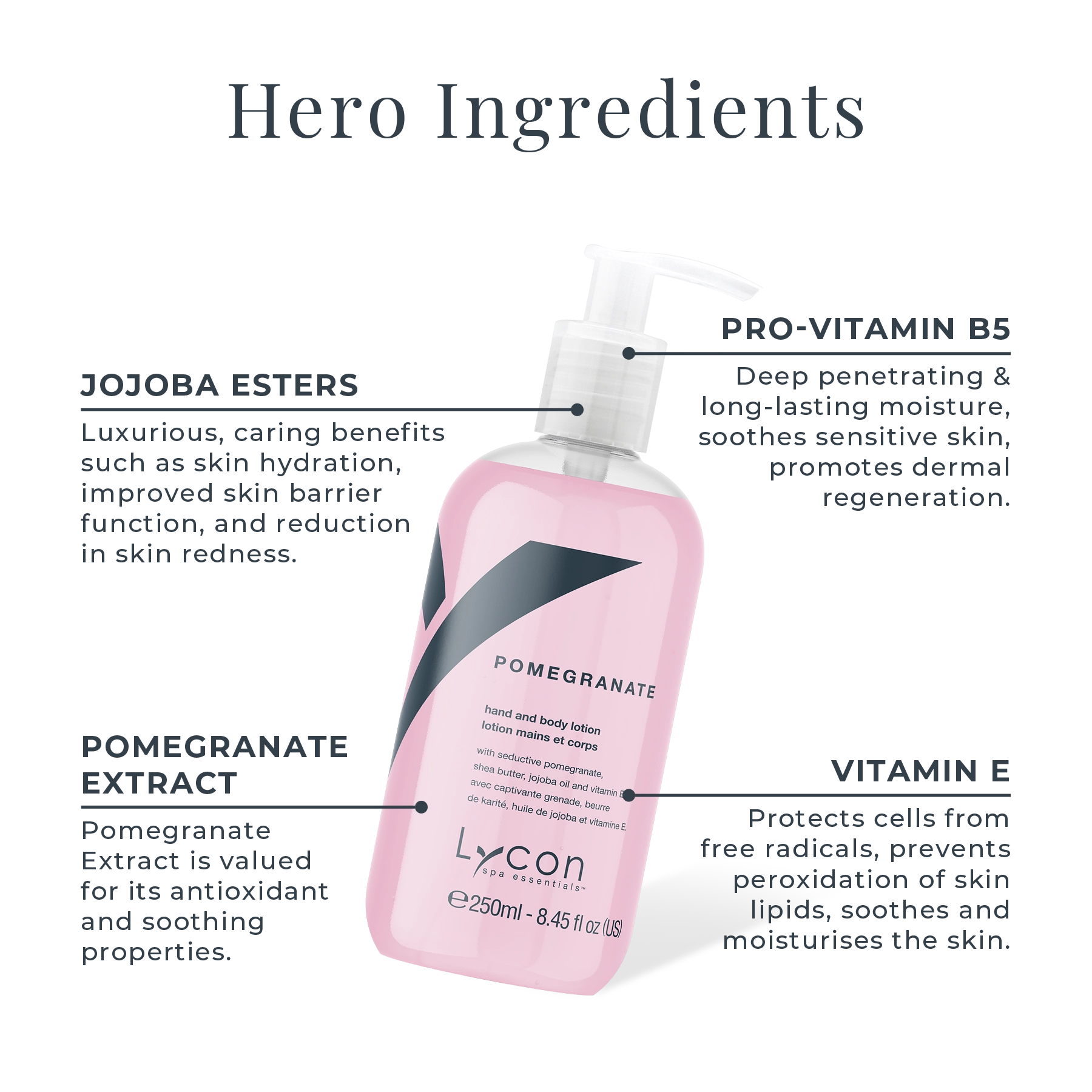 Pomegranate Hand and Body Lotion Key Ingredients