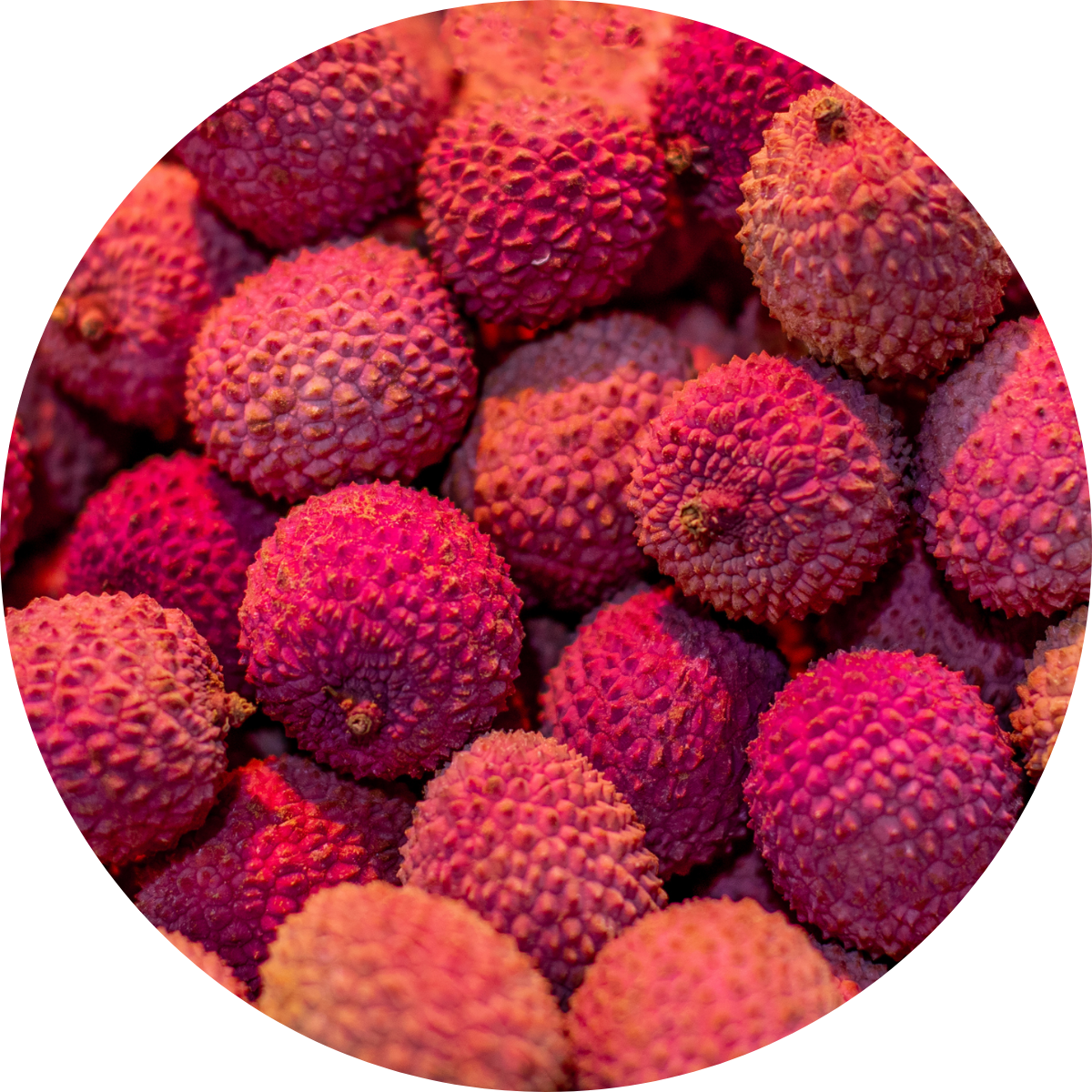 LYCHEE EXTRACT