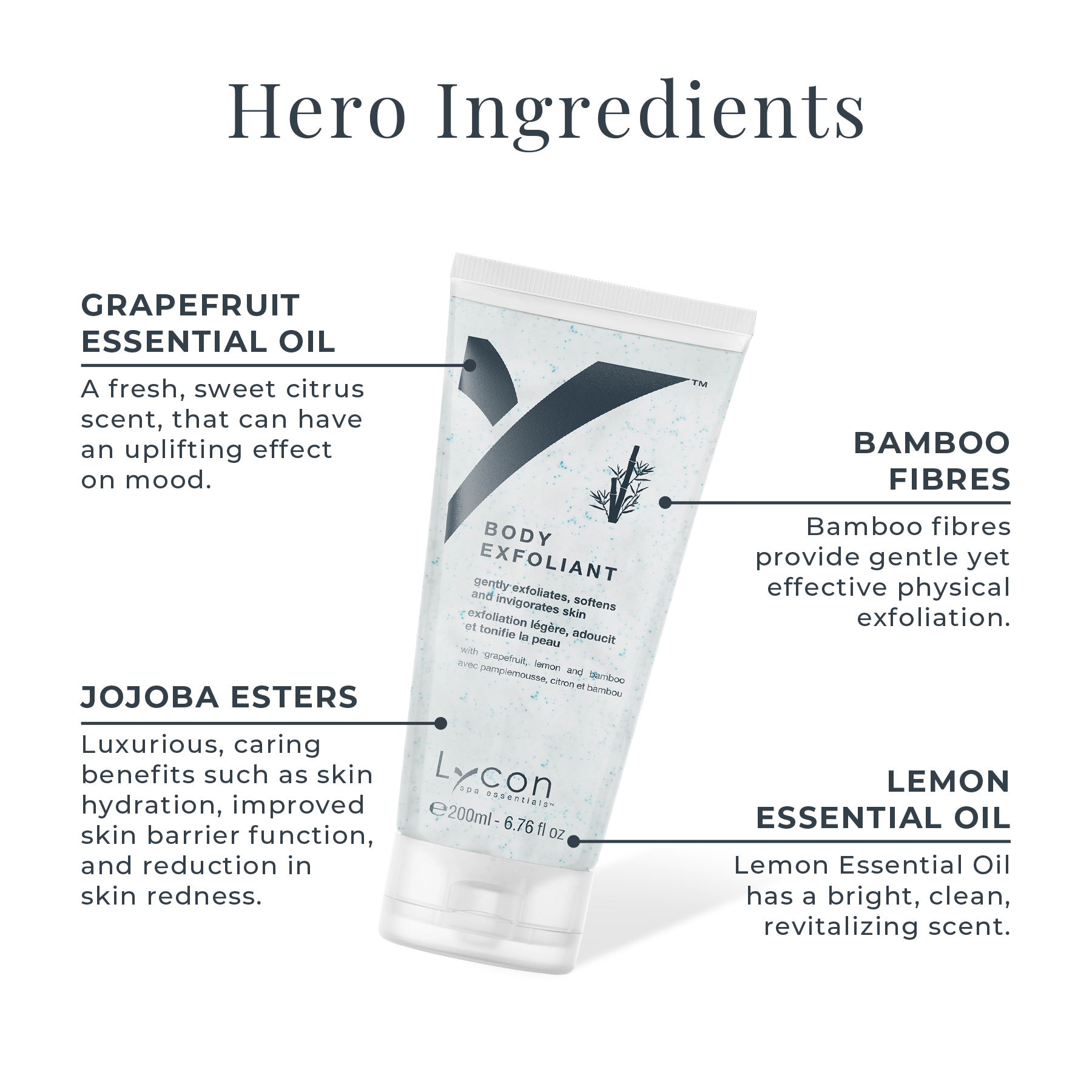 Body Exfoliant Key Ingredients
