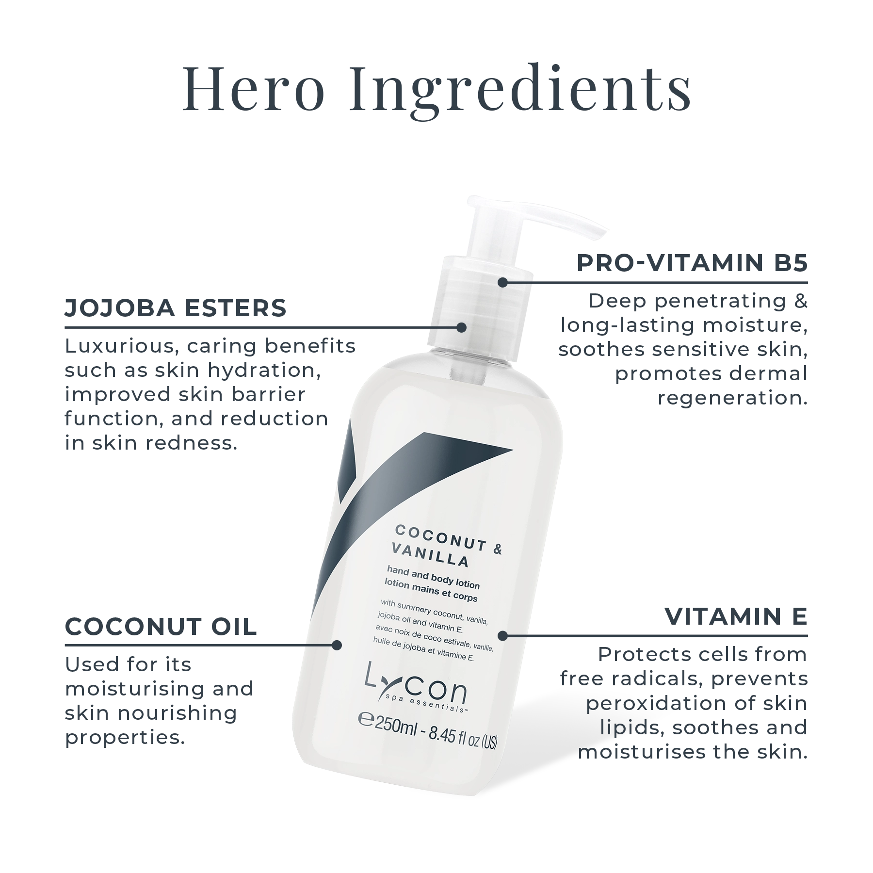 Coconut and Vanilla Hand and Body Lotion Key Ingredients