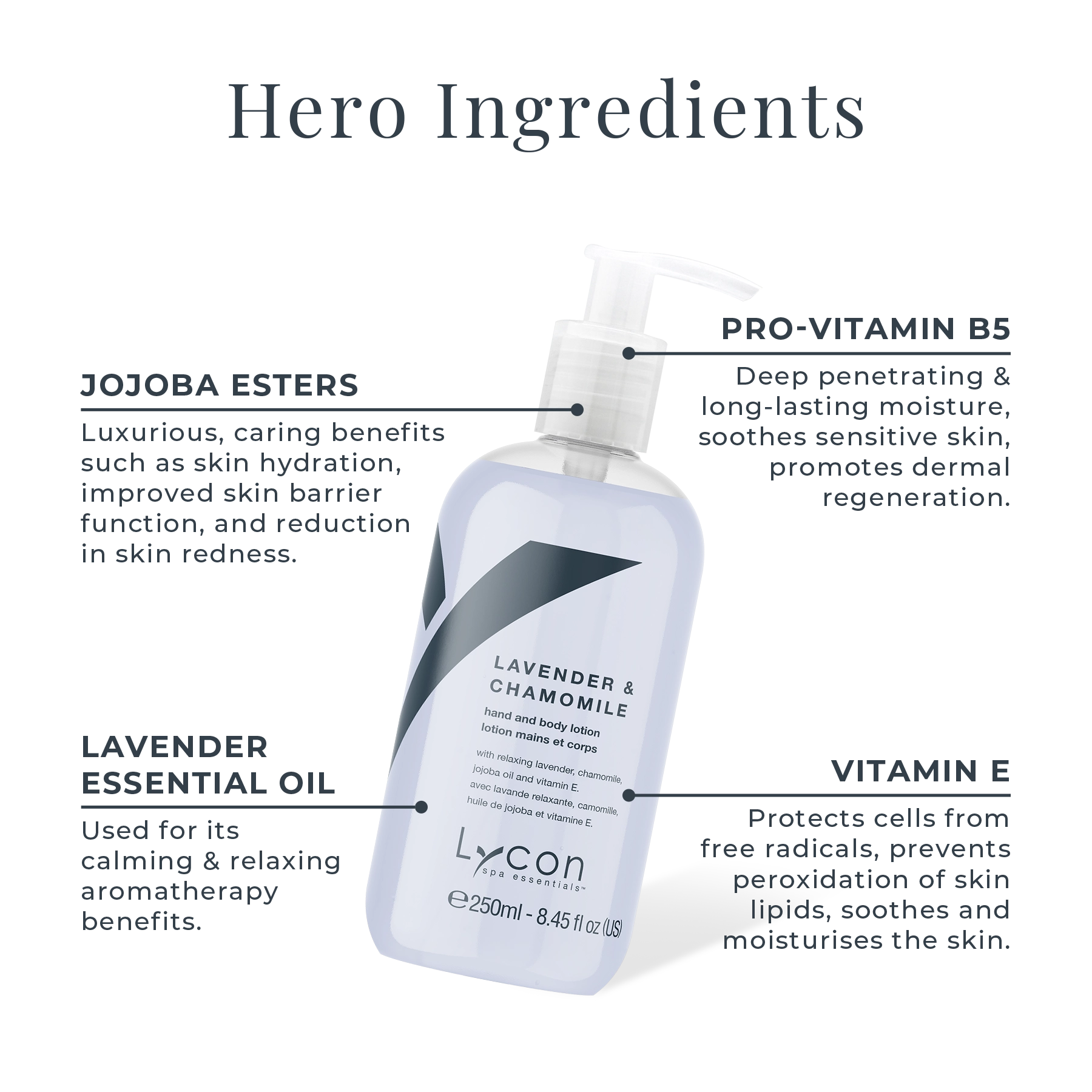Lavender and Chamomile Hand and Body Lotion Key Ingredients