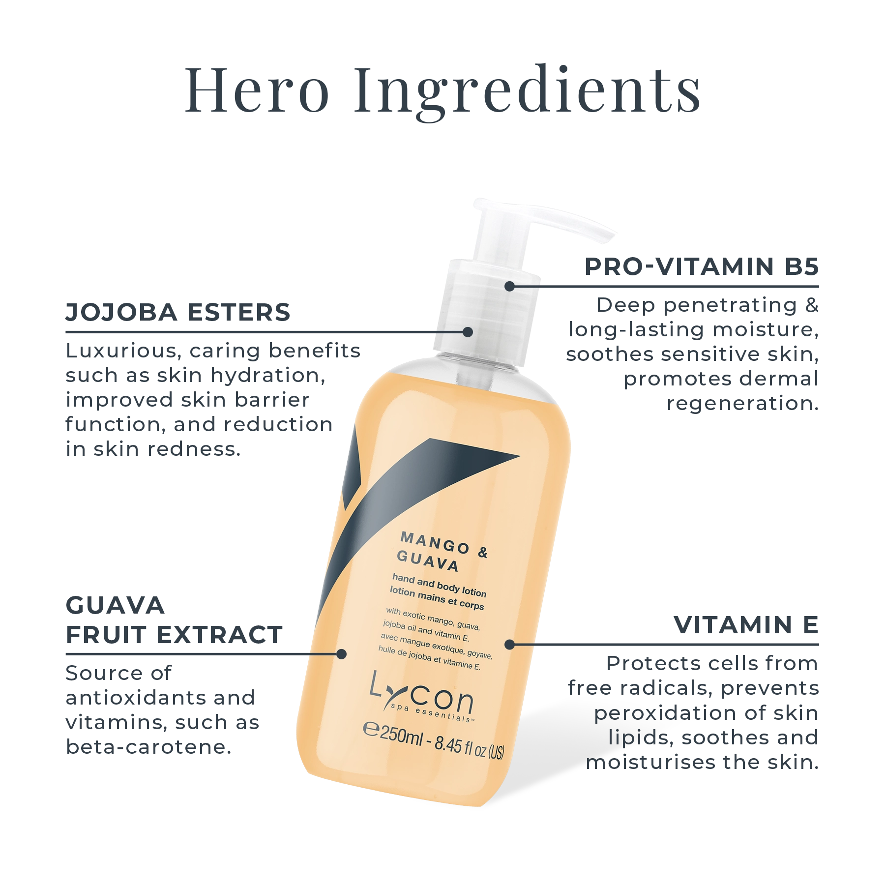 Mango and Guava Hand and Body Lotion Key Ingredients
