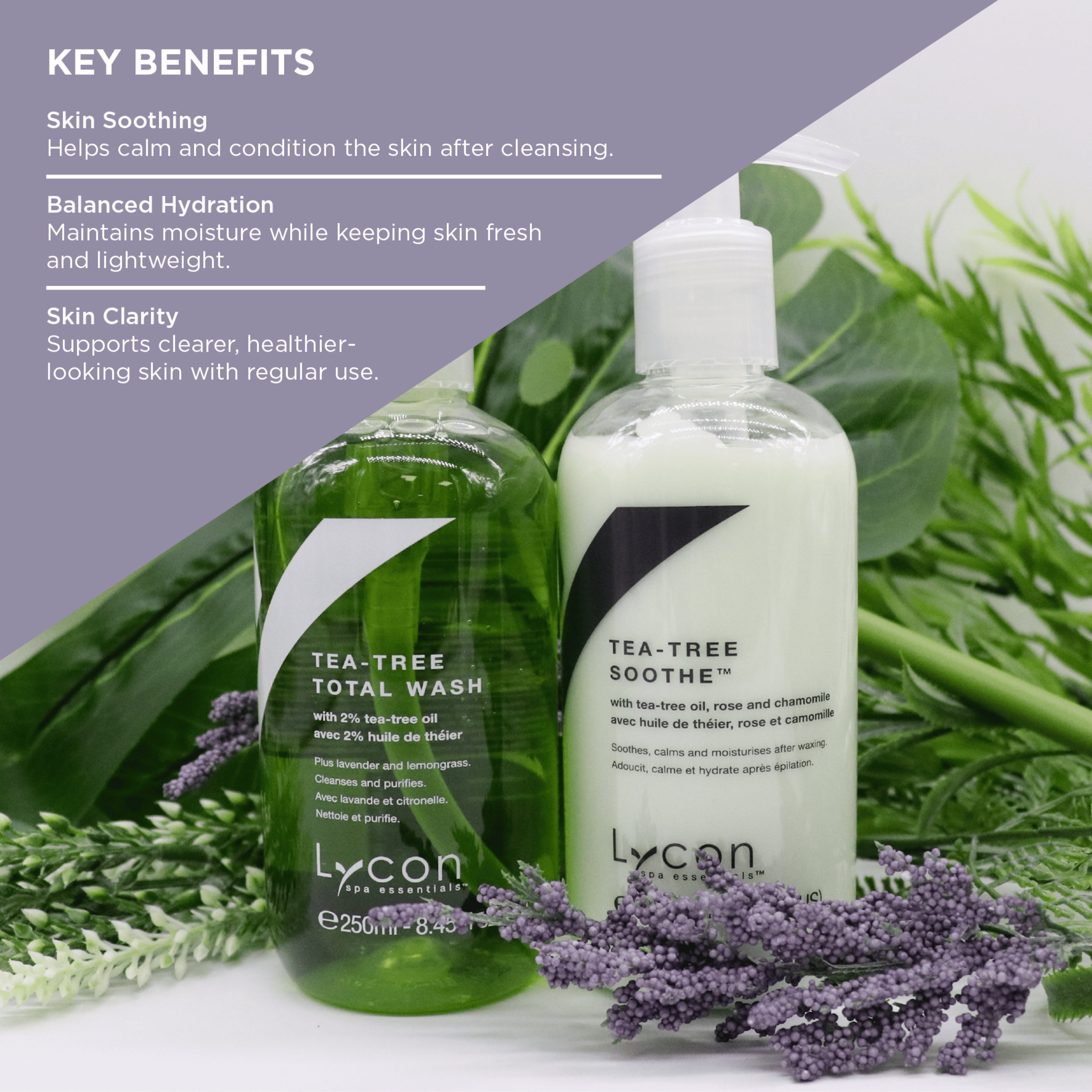 Tea-Tree Set
